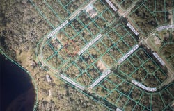 SEQUOIA LOOP Track, OCKLAWAHA, FL 32179