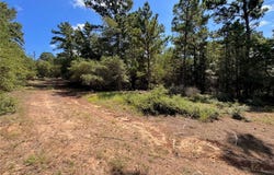 445 Pine Valley Loop, Smithville, TX 78957
