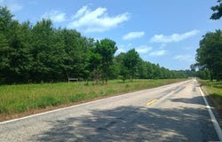 FM 990, Simms, TX 75574