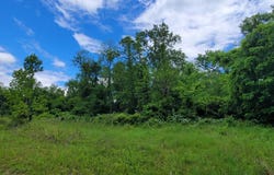 Buckler Rd, Monroe Twp, OH 45157