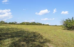 Wild Rose, Strafford, MO 65757