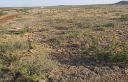 11 Tr 2 Gold Road, Amarillo, TX 79124