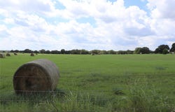 36 ACRES FM 1749, Sunset, TX 76270