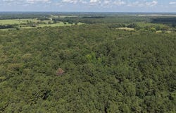 Tract 3 CR 4320, DeKalb, TX 75559