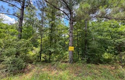 2 Posey Webb Camp Road, Sicily Island, LA 71343