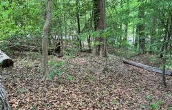 6623 Greenvale Drive, Richmond, VA 23225