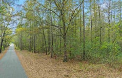 Tom Shivers Rd, Flomaton, AL 36441