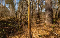 Prairie Road E, Osseo, WI 54758