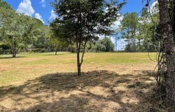 CALHOUN Road, EUSTIS, FL 32726