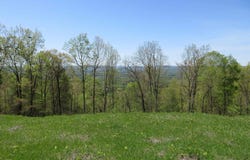 44 Highway 117, Flat Rock, AL 35966