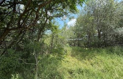 135 Jackson St, Elgin, TX 78621