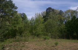 Treasure Hill, Texarkana, TX 75503
