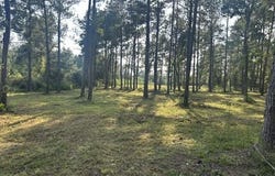 New Hope Rd, Sandy Hook, MS 39478