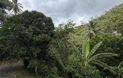 Achiote, Naranjito, PR 00719