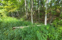 Brookins, North Norwich, NY 13814