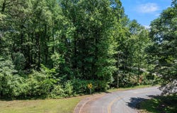 407 Palmetto Drive, Greer, SC 29651