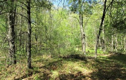 S Long Lake Rd, Siren, WI 54872