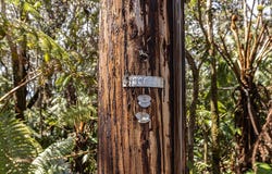 11TH ST, Volcano, HI 96785