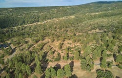 1649 Sheep Springs Road, Durango, CO 81301