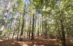 Pineville Road, Darlington, SC 29532