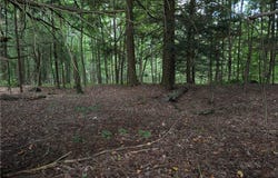 Jennison Rd, Pittsfield, NY 13411