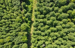 Saint Paul Road, Sandy Hook, MS 39478