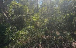SE 157th Street, Umatilla, FL 32784
