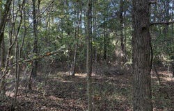 CR-368, Section, AL 35771