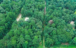 PECAN DR, Harleton, TX 75651