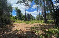 COUNTY ROAD 42, UMATILLA, FL 32784