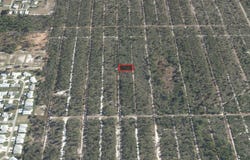 533 PARROT Avenue, SEBRING, FL 33872