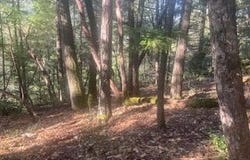 320 Coon Creek Road, Salyer, CA 95563