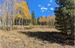2174 Bear Gulch Rd, Red Feather Lakes, CO 80545