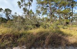 478 DARTER AVENUE, SEBRING, FL 33870