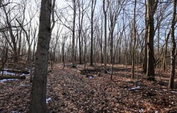 1767 Flanders Road, Charlotte, MI 48813
