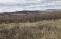 TBD County Road 37, Hamilton, CO 81638