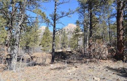 676 Tipple Ave. (Lot 121), Durango, CO 81301