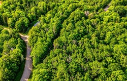 STATELINE LAKE RD lot: 4, Marenisco, MI 49947