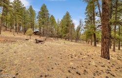 7804 E Long Bow Drive, Williams, AZ 86046