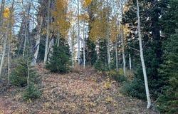 660 W SKI VIEW Dr, Brian Head, UT 84719