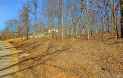 Grand View Drive lot: #450, Sunrise Beach, MO 65079