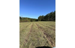 4434 COUNTY ROAD 86 lot: 1, CALERA, AL 35040