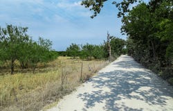 438 Hcr 2205, Aquilla, TX 76622