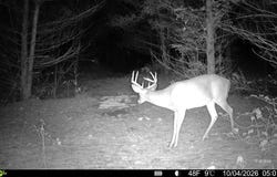 Twp Rd 329, Corning, OH 43730