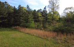 Suzie Ln, Mena, AR 71953