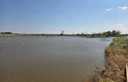 613-B N Access Road, Tye, TX 79603