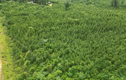 590 County Road 204, ARITON, AL 36311