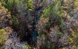 County Road 1135, Kennard, TX 75835