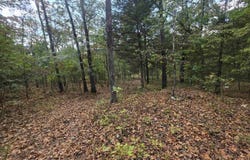 207 Ridge Road, Highland, AR 72542
