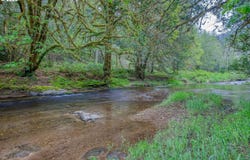 61565 FAIRVIEW Rd, Coquille, OR 97423